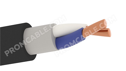 ППГнг(А)-HF 2х10 - 1кВ фото