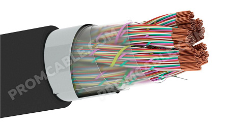 Кабель ТПпПБбШп фото